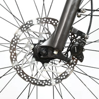 Pegasus Savino Evo 5R | 2022 - S - 7080KM