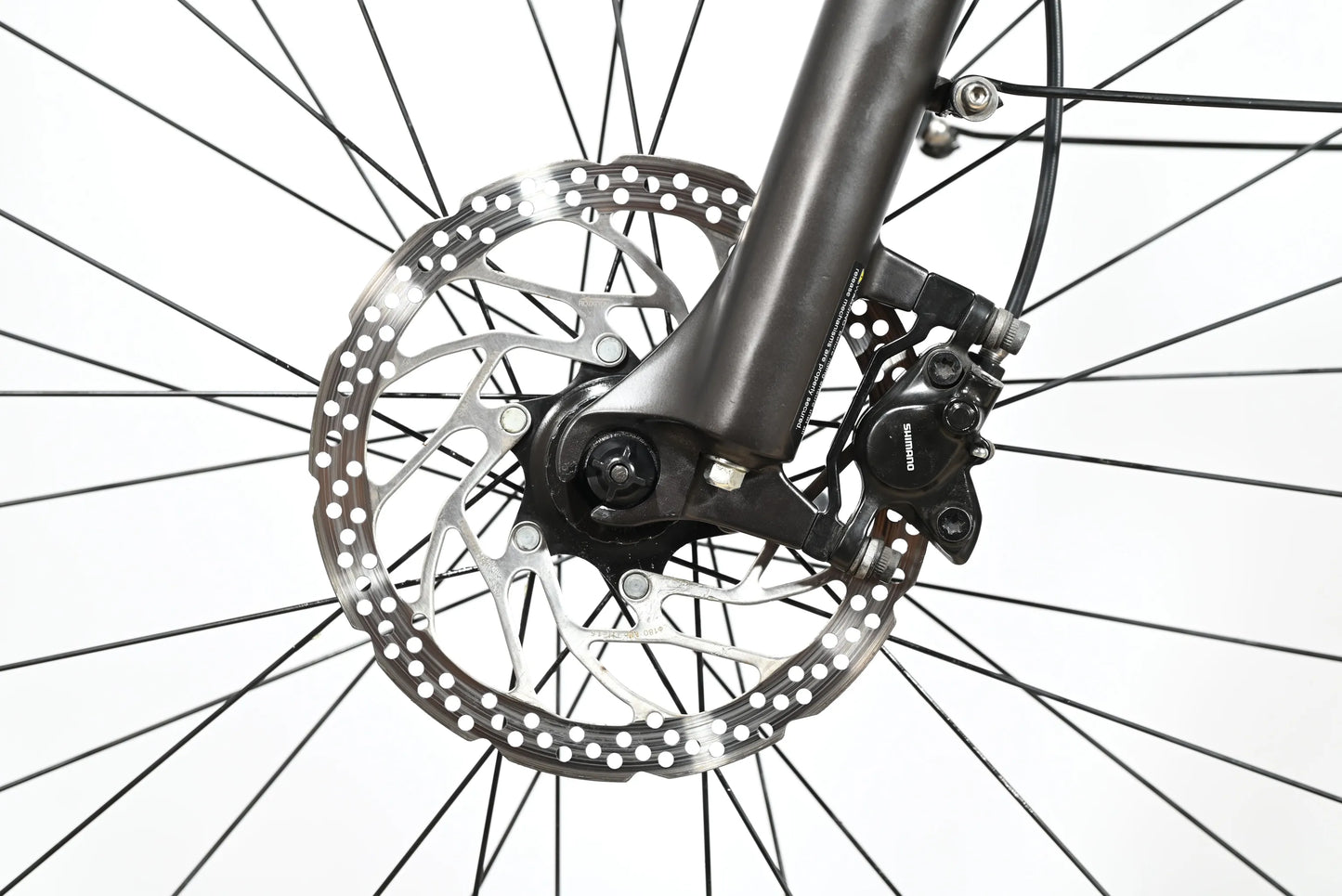 Pegasus Savino Evo 5R | 2022 - S - 7080KM