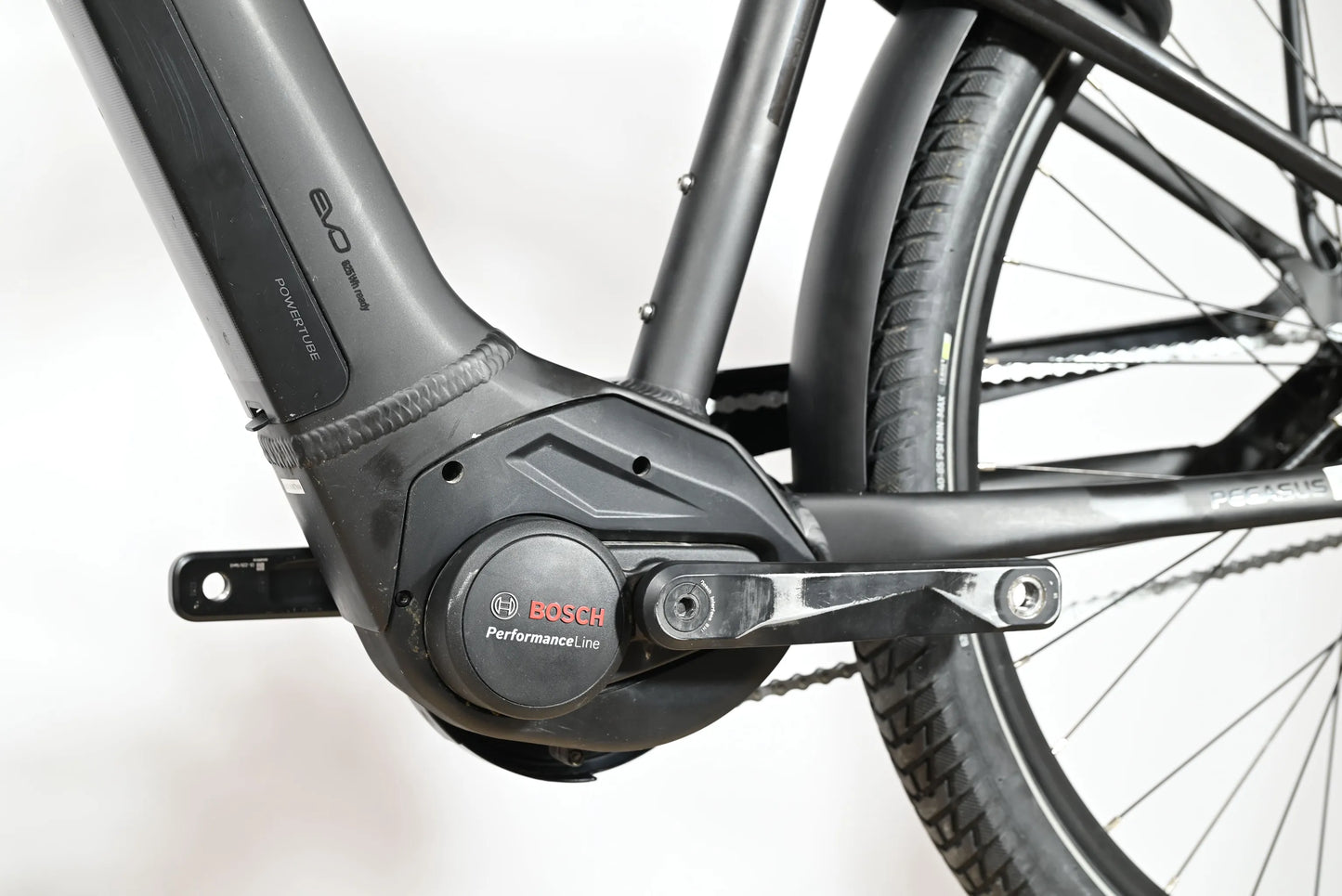 Pegasus Savino Evo 5R | 2022 - S - 7080KM