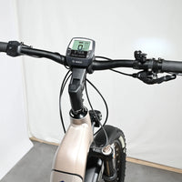 Victoria E-Adventura 12.8 | 2023 - M - 370KM