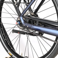 Gazelle Chamonix C5 HMS | 2022 - L - 3709KM