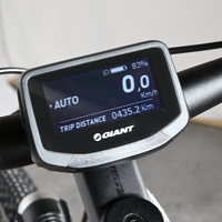 Giant Explore Pro E+1 | 2022 - S - 2151KM