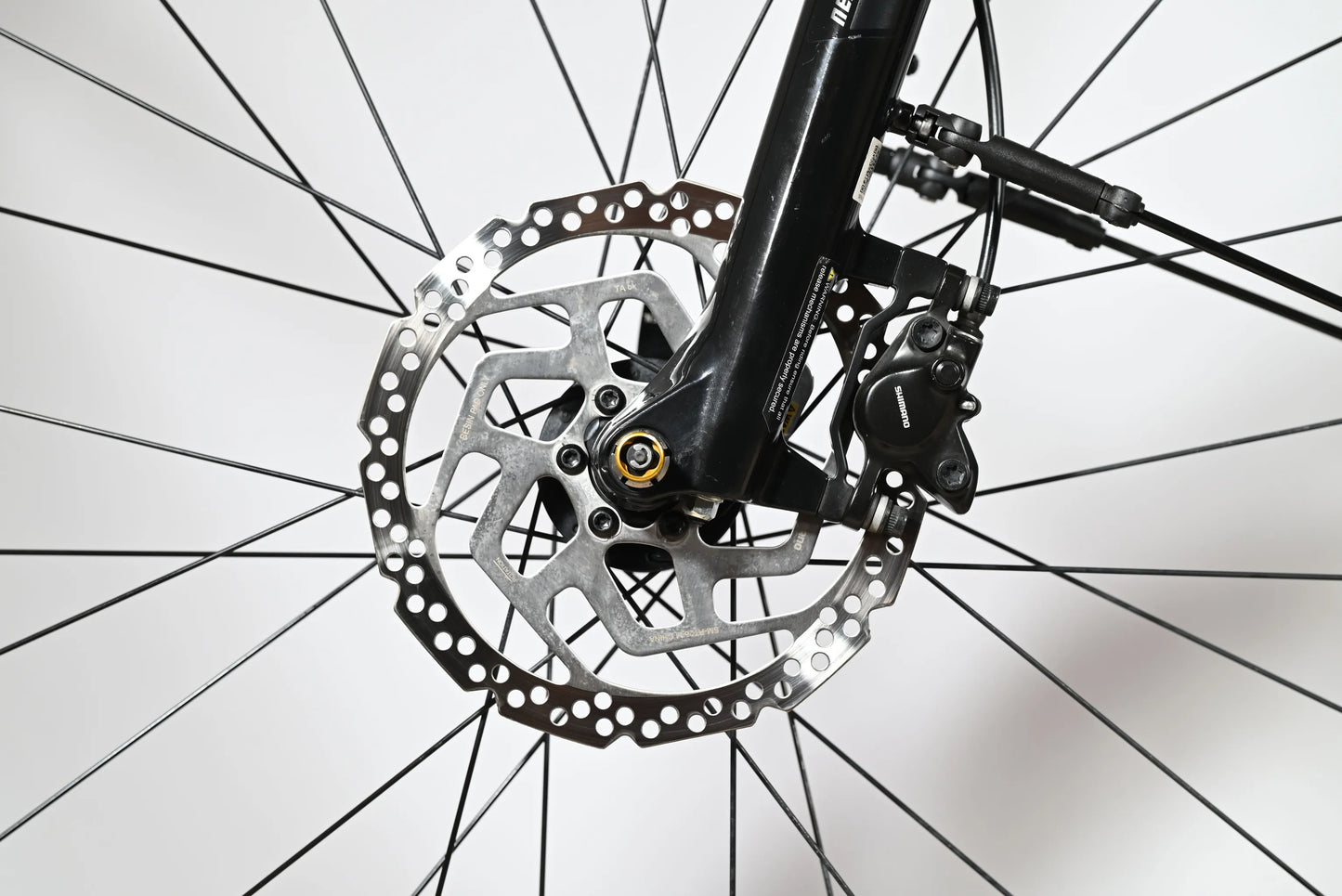 Giant Liv Amiti E+1 | 2021 - S - 1973KM