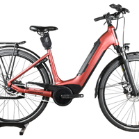 Winora Tria N8 Eco | 2022 - S - 11234KM