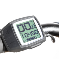 Winora Tria N8 Eco | 2022 - S - 11234KM