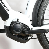 Winora Yucatan 12 | 2022 - L - 1156KM