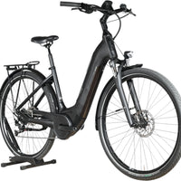 Winora Tria N9 | 2022 - M - 409KM