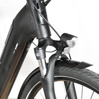 Winora Tria N9 | 2022 - M - 409KM