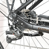 Winora Tria N9 | 2022 - M - 409KM