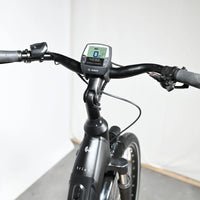 Winora Tria N9 | 2022 - M - 409KM