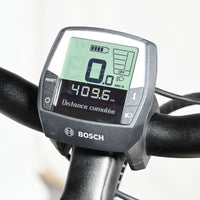 Winora Tria N9 | 2022 - M - 409KM