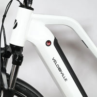 Velodeville AEB 990 | 2022 - S - 1913KM