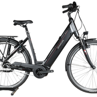 Lehmkuhl Series P.5.5 | 2022 - M - 133KM