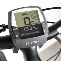 Lehmkuhl Series P.5.5 | 2022 - M - 133KM