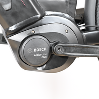 Lehmkuhl Series P.5.5 | 2022 - M - 133KM