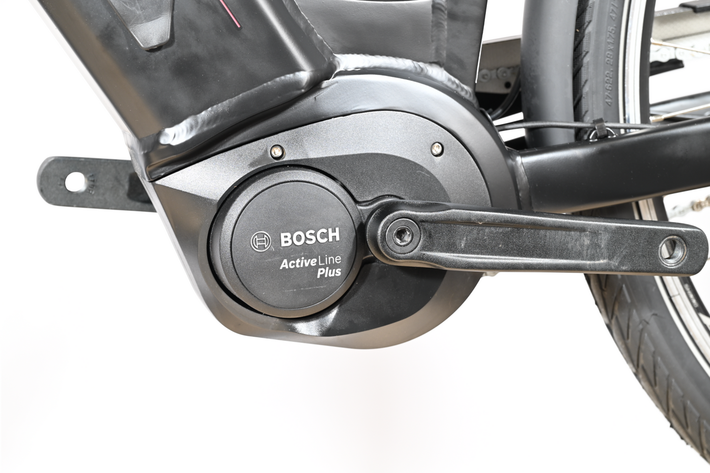 Lehmkuhl Series P.5.5 | 2022 - M - 133KM