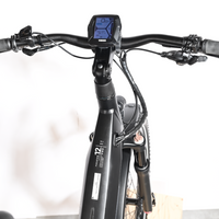 Winora Yucatan 12 Pro | 2022 - L - 385KM