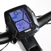 Winora Yucatan 12 Pro | 2022 - L - 385KM