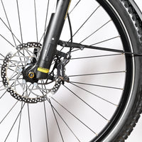 Winora Yucatan 12 Pro | 2022 - L - 385KM