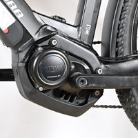 Winora Yucatan 12 Pro | 2022 - L - 385KM