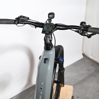 Focus Aventura 6.8 | 2024 - L - 520KM