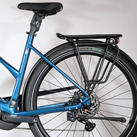 KTM Macina Style 730 | 2024 - M - 631KM