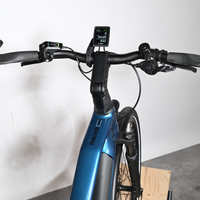 KTM Macina Style 730 | 2024 - M - 631KM