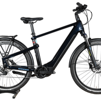 Winora Yakun 10 i750 | 2022 - M - 451KM