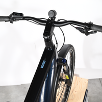 Winora Yakun 10 i750 | 2022 - M - 451KM