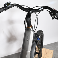 Peugeot EC01 Cross Over | 2022 - L - 4455KM