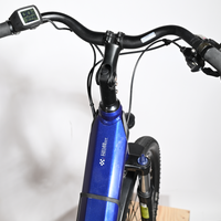 Peugeot EC01 Cross Over | 2022 - M - 9446KM