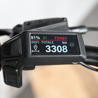 Kalkhoff Entice 5 Season 2 | 2025 - L - 3308KM