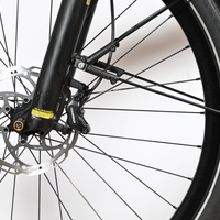 Kalkhoff Image 5.B Advance+ | 2025 - L - 1614KM