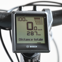 Cube Nuride Hybrid Pro 750 | 2024 - S - 288KM