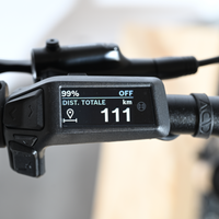 Cube Reaction Hybrid Performance 625 | 2024 - M - 111KM