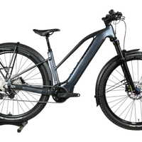 Cube Reaction Hybrid Pro 800 Allroad | 2025 - M - 382KM