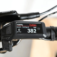 Cube Reaction Hybrid Pro 800 Allroad | 2025 - M - 382KM