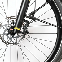 Kalkhoff Endeavour 5 Advance LTD | 2025 - M - 527KM