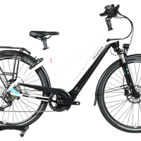 Pegasus Premio EVO 10 Lite | 2023 - M - 1470KM