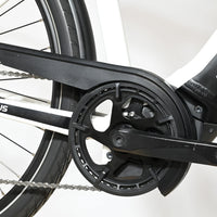 Pegasus Premio EVO 10 Lite | 2023 - M - 1470KM