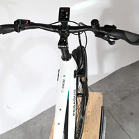 Pegasus Premio EVO 10 Lite | 2023 - M - 1470KM