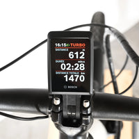 Pegasus Premio EVO 10 Lite | 2023 - M - 1470KM