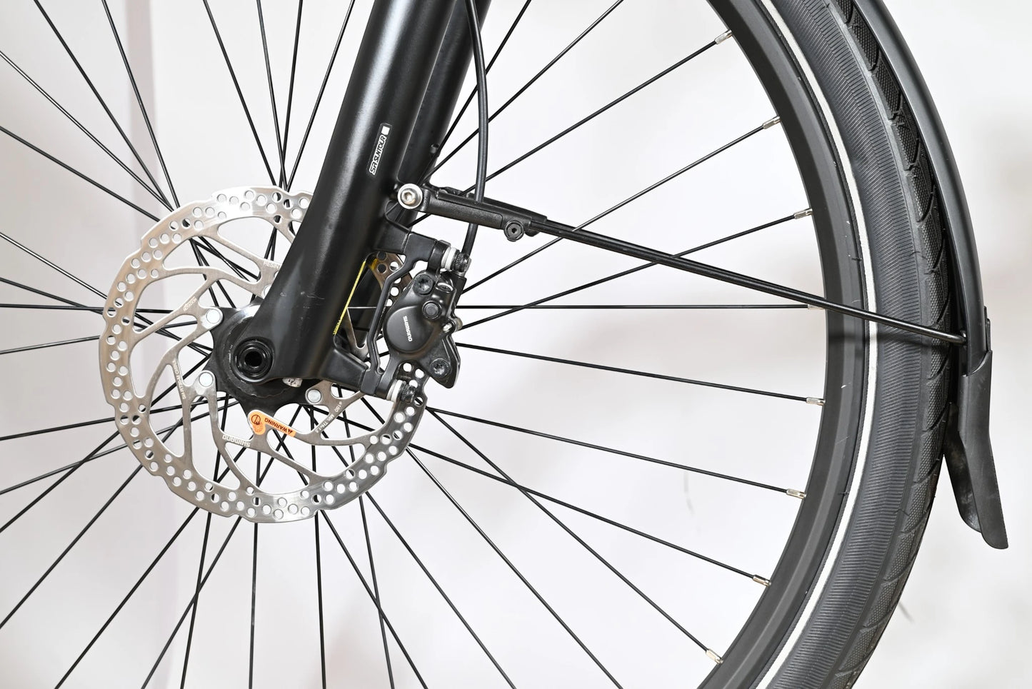 Pegasus Premio EVO 10 Lite | 2023 - M - 1470KM