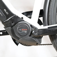 Pegasus Premio EVO 10 Lite | 2023 - M - 1470KM