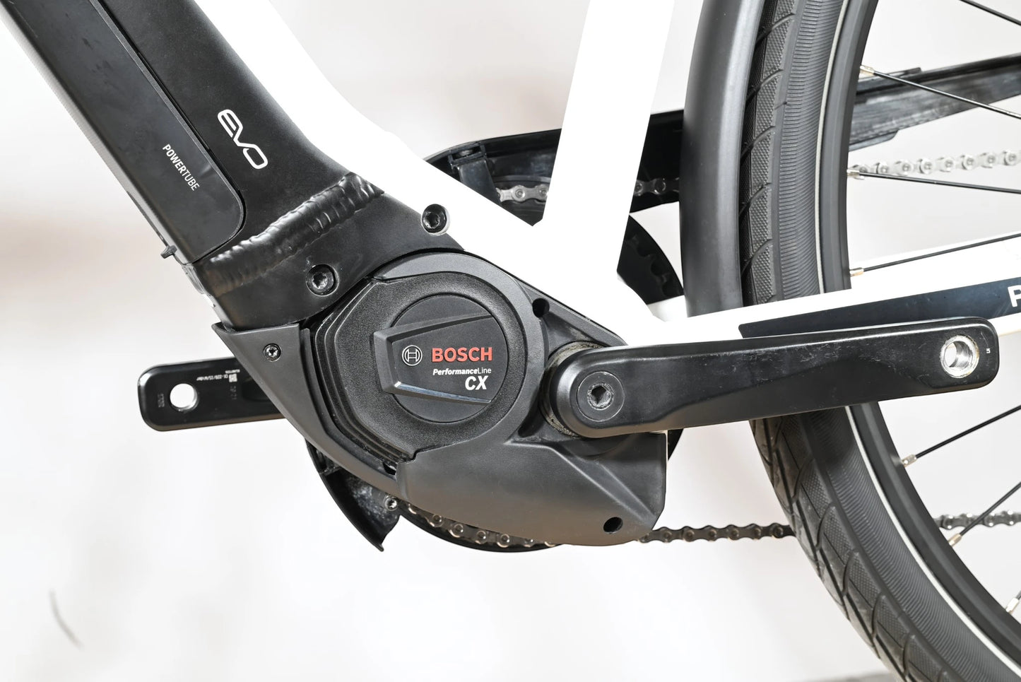 Pegasus Premio EVO 10 Lite | 2023 - M - 1470KM