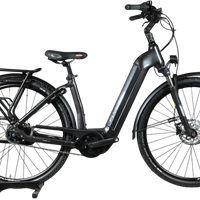 Flyer Gotour6 3.41R | 2023 - S - 154KM