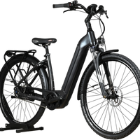 Flyer Gotour6 3.41R | 2023 - S - 154KM