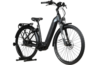 Flyer Gotour6 3.41R | 2023 - S - 154KM