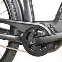 Flyer Gotour6 3.41R | 2023 - S - 154KM