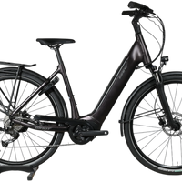 Giant Dailytour E+3 | 2025 - M - 3873KM
